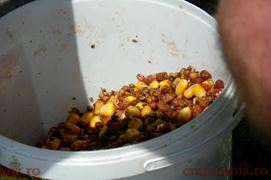 Concurs Party Cup - Sulimanu